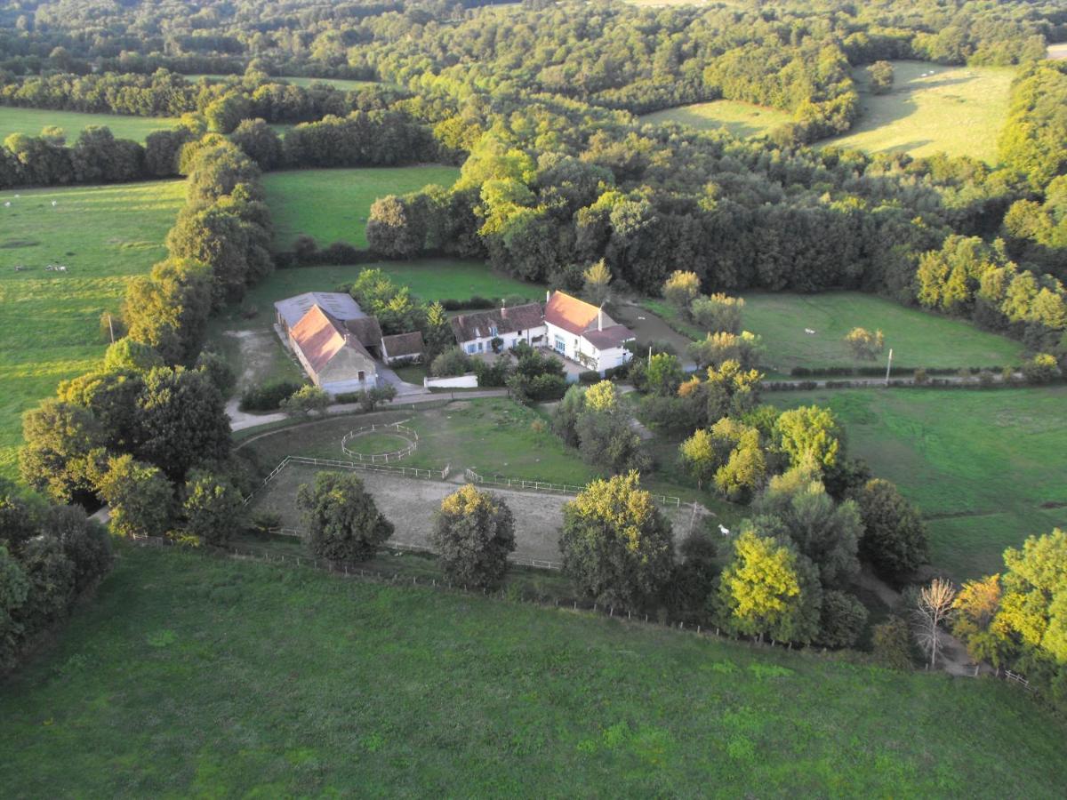 Domaine De Varenne Bed & Breakfast Saint-Amand-en-Puisaye Екстериор снимка