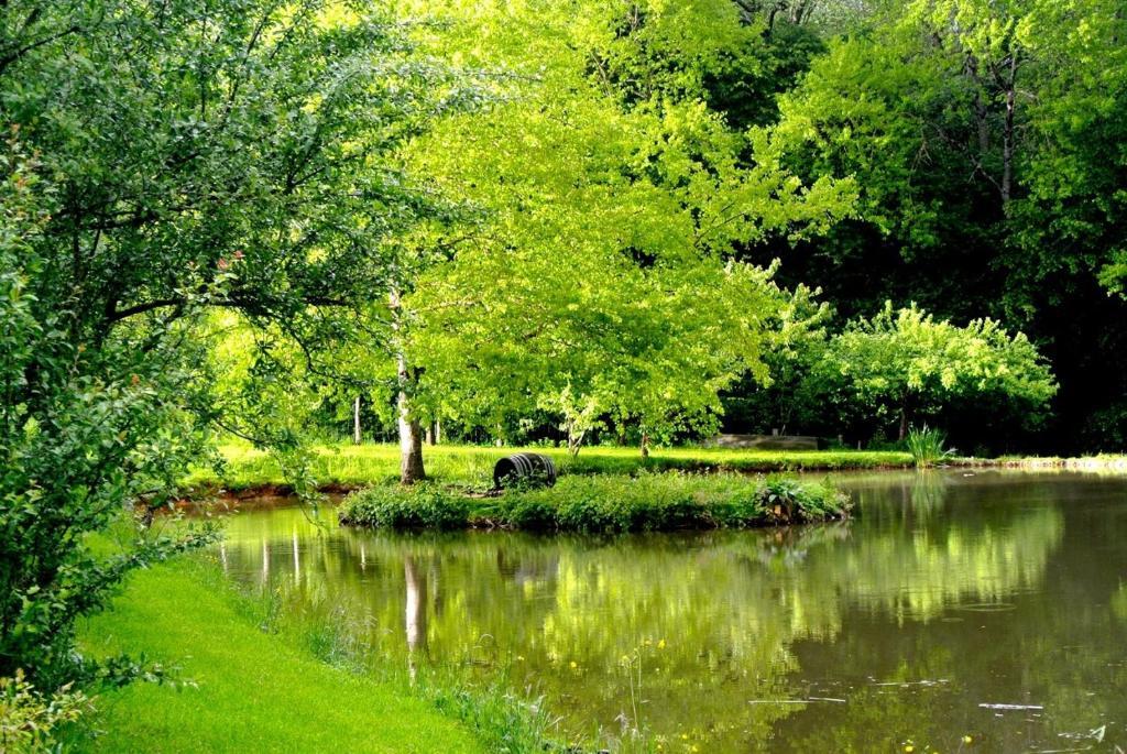 Domaine De Varenne Bed & Breakfast Saint-Amand-en-Puisaye Екстериор снимка